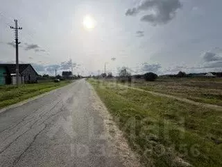 Участок в Тюменская область, Аромашевский муниципальный округ, д. ... - Фото 1