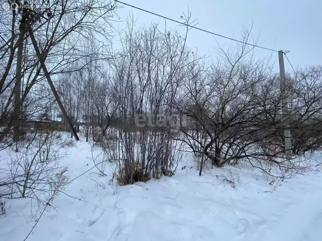 Участок в Хабаровский район, Тополевское сельское поселение, село ... - Фото 0