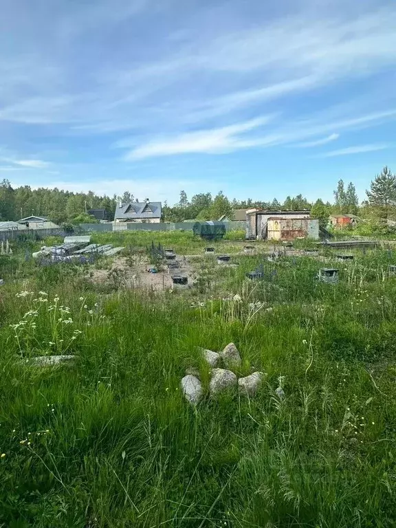 Участок в Ленинградская область, Выборгский район, Каменногорское ... - Фото 0