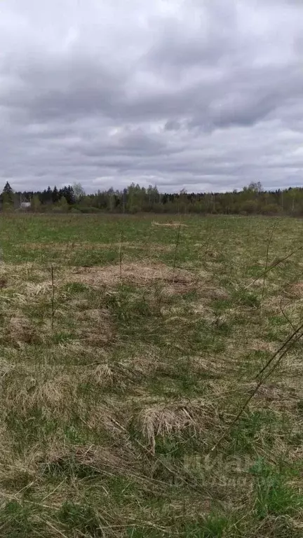 Участок в Московская область, Можайский муниципальный округ, д. ... - Фото 0