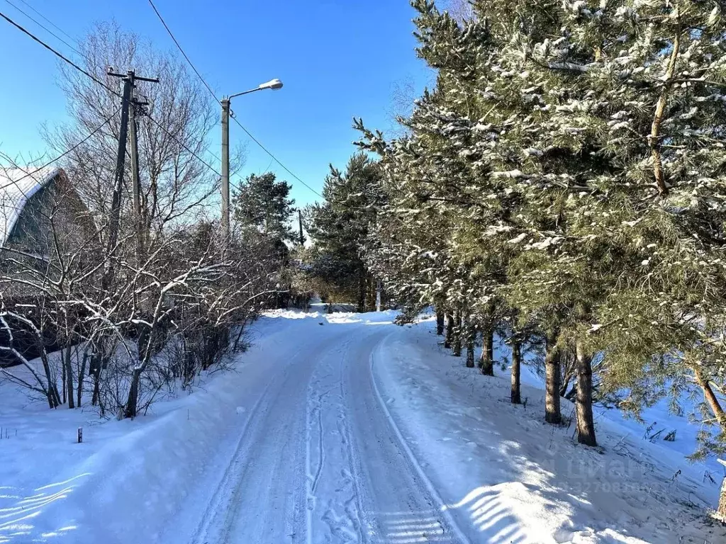 Участок в Московская область, Раменский муниципальный округ, д. Тяжино ... - Фото 1