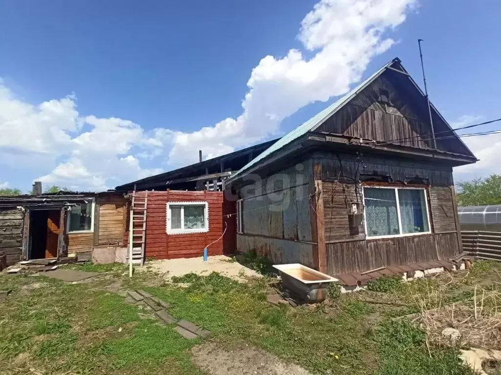 Дом в Амурская область, Белогорск Ледяная ул., 17 (80 м) - Фото 1
