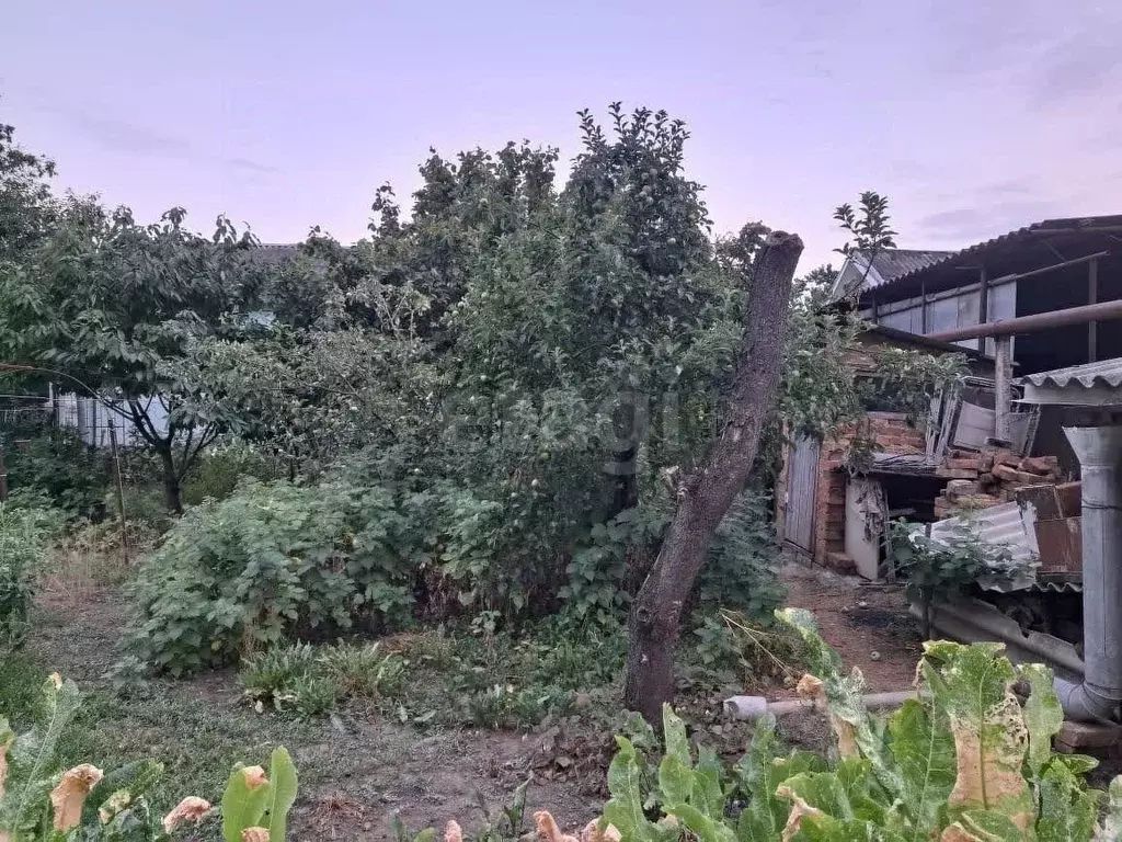 Участок в Адыгея, Майкоп ул. Свободы (6.2 сот.) - Фото 1