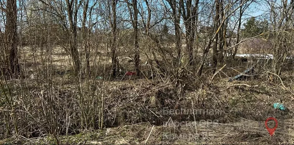 Участок в Московская область, Красногорск городской округ, д. Козино  ... - Фото 2