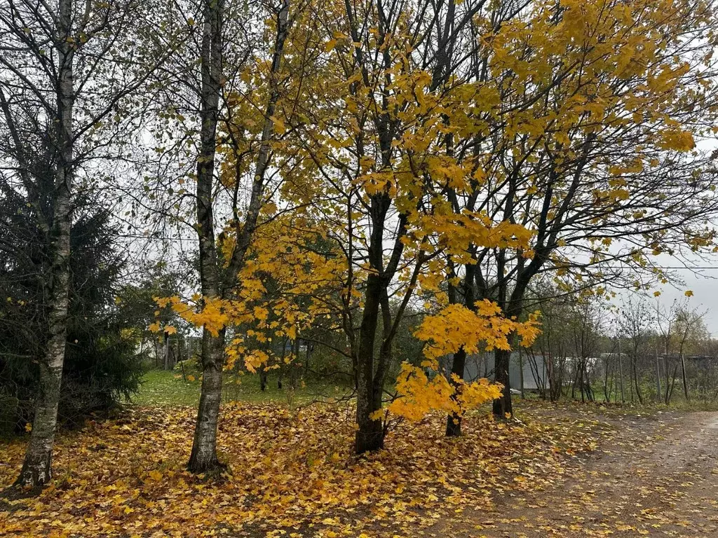 Участок в Московская область, Истра муниципальный округ, с. Петровское ... - Фото 2