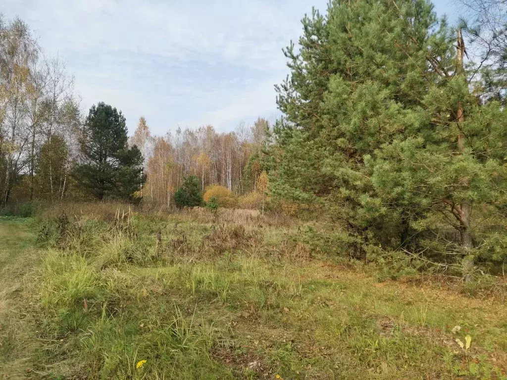 Участок в Московская область, Орехово-Зуевский городской округ, д. ... - Фото 0
