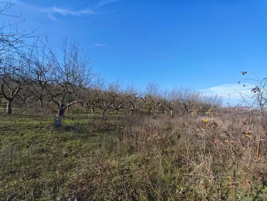 Участок в Кабардино-Балкария, Нальчик пл. 400-летия (6.5 сот.) - Фото 2