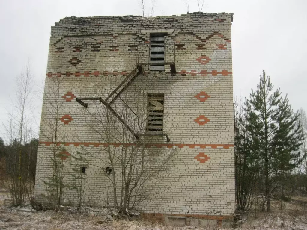 Помещение свободного назначения в Ярославская область, Мышкинский ... - Фото 0