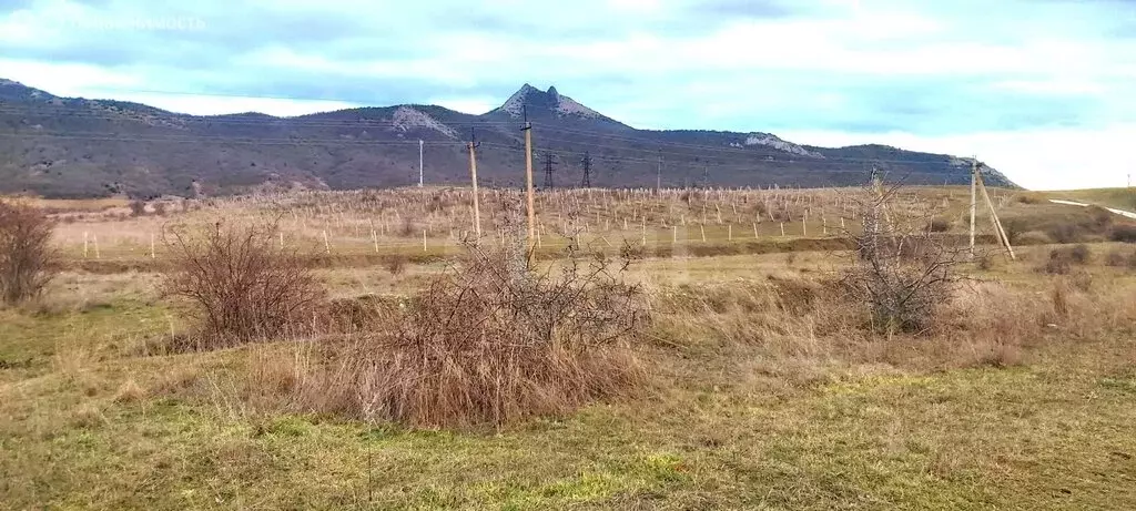 Участок в Республика Крым, муниципальный округ Феодосия, ДП Коктебель ... - Фото 2