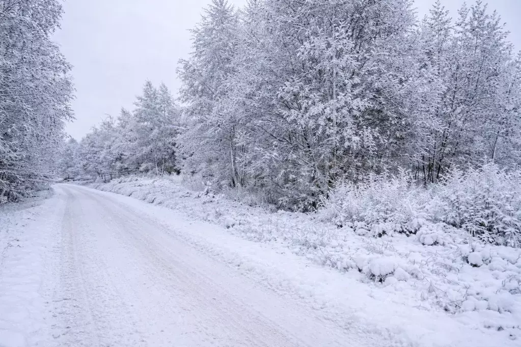 Участок в Московская область, Наро-Фоминский городской округ, д. ... - Фото 1