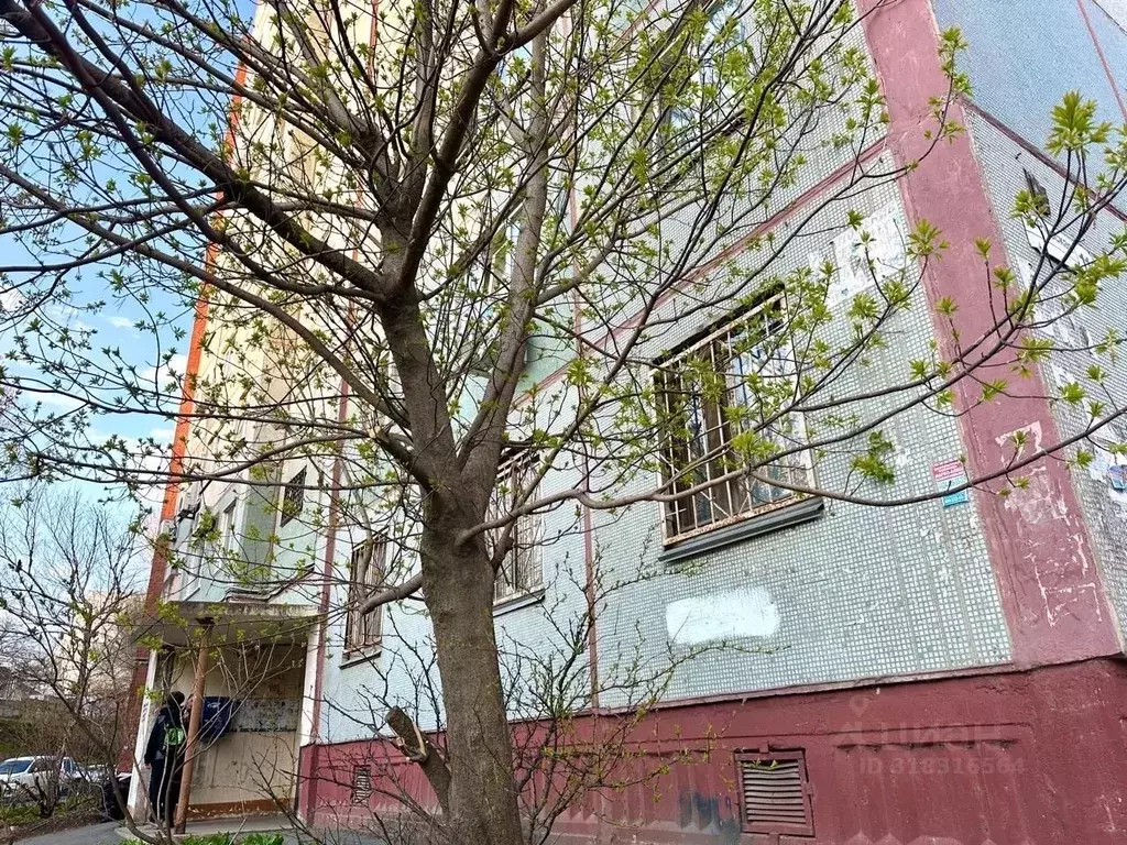 Студия Приморский край, Владивосток Русская ул., 11 (13.0 м) - Фото 1
