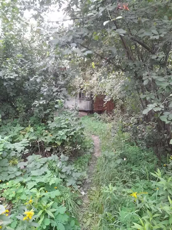 Дом в Тамбовская область, Тамбов городской округ, с. Бокино ул. ... - Фото 2