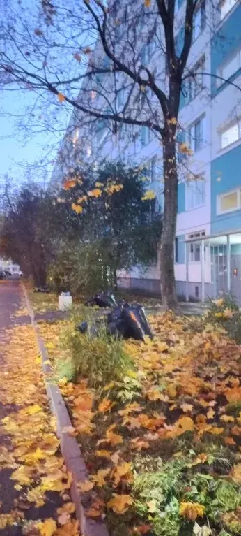 2-к кв. Санкт-Петербург Софийская ул., 42К2 (44.6 м) - Фото 0