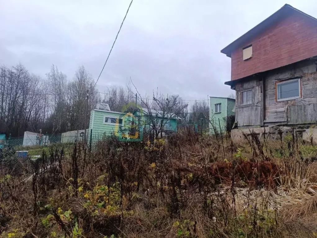 Участок в Ленинградская область, Ломоносовский район, Пениковское ... - Фото 2