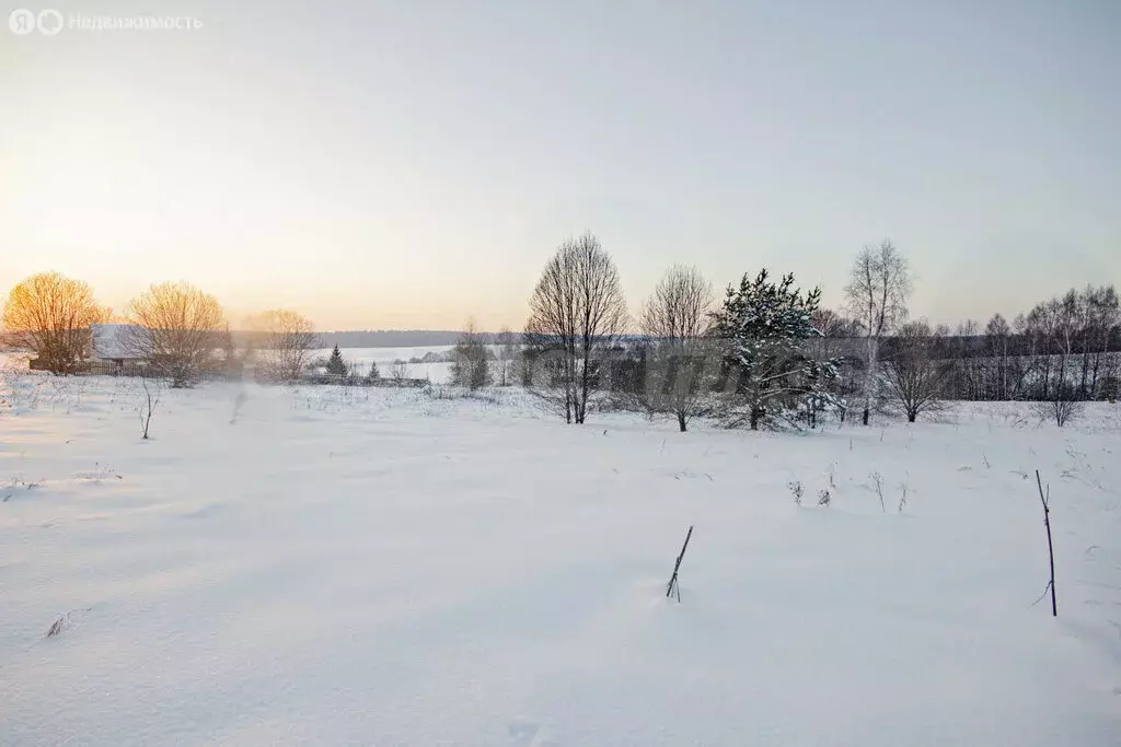 Участок в деревня Дуброво (15.99 м) - Фото 2