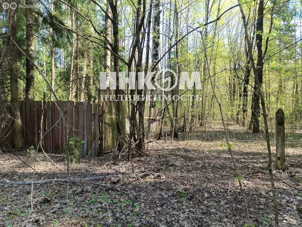Участок в посёлок Трудовая, Дмитровское шоссе, 9 (50 м) - Фото 2