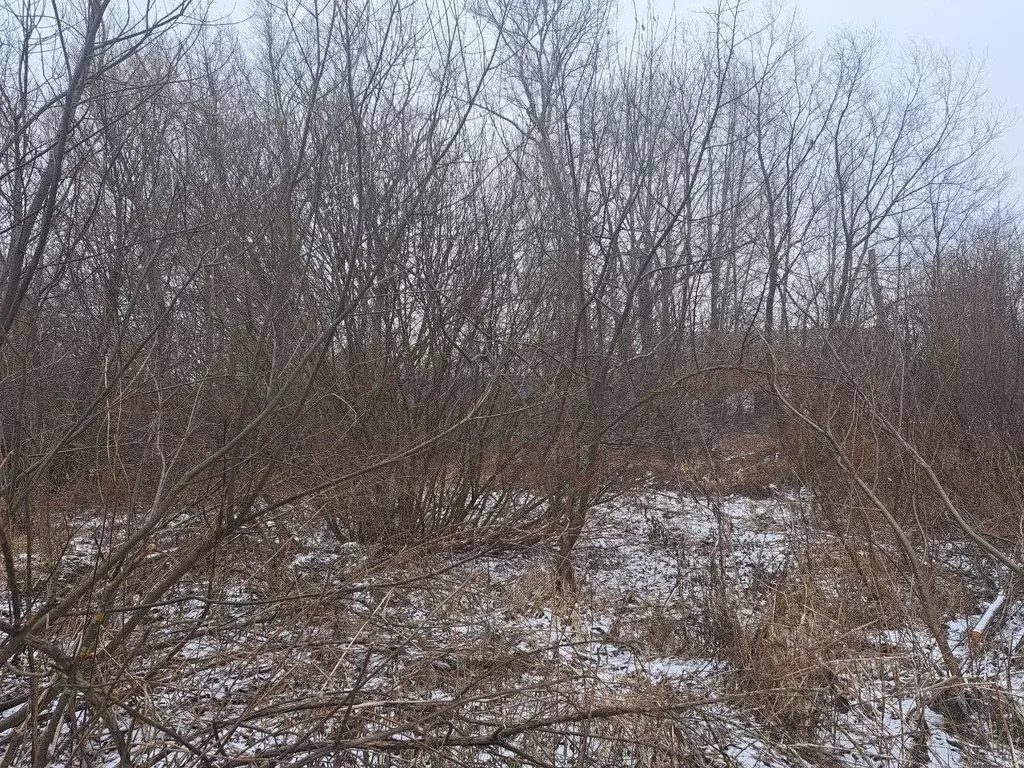 Участок в Московская область, Кашира городской округ, д. Яковское  ... - Фото 0