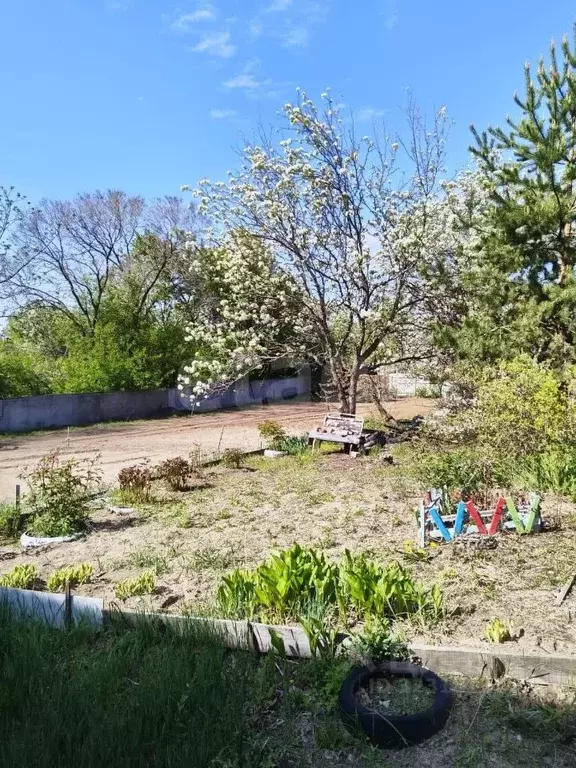 Участок в Амурская область, Благовещенск Багульник СНТ,  (12.0 сот.) - Фото 1