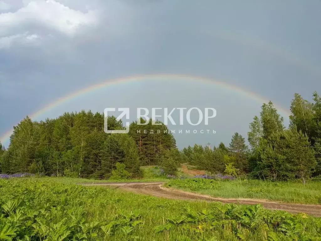 Участок в Ивановская область, Кинешемский район, Наволокское городское ... - Фото 1