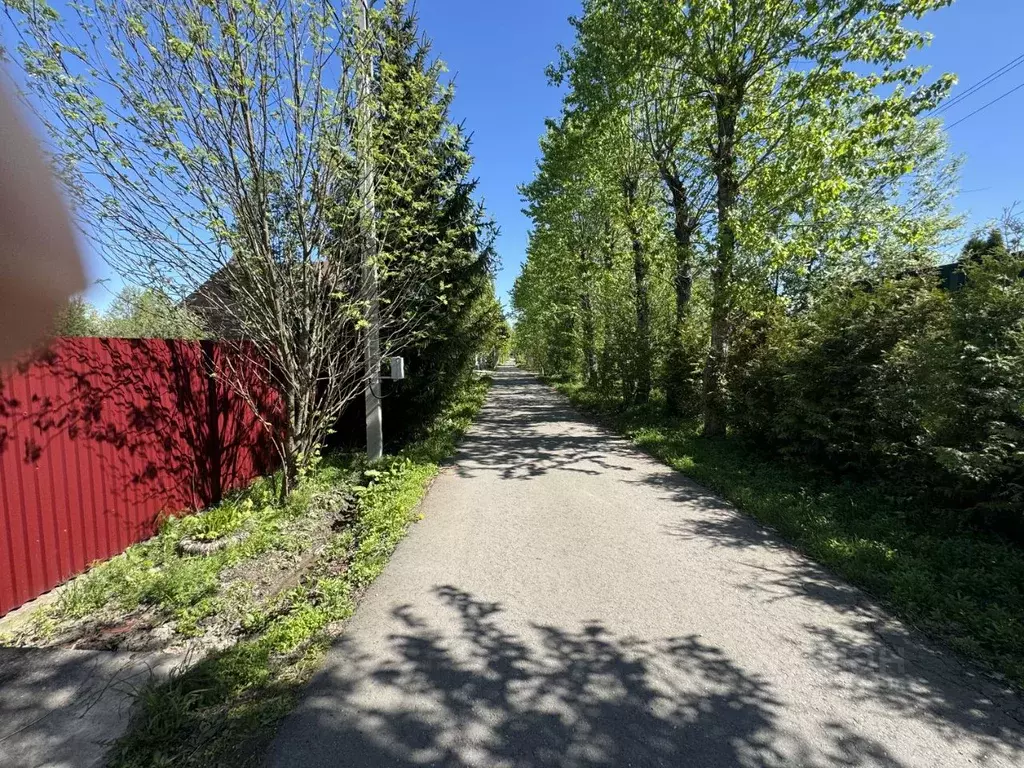 Участок в Москва пос. Совхоза Крекшино, ул. Тополиная (16.0 сот.) - Фото 1