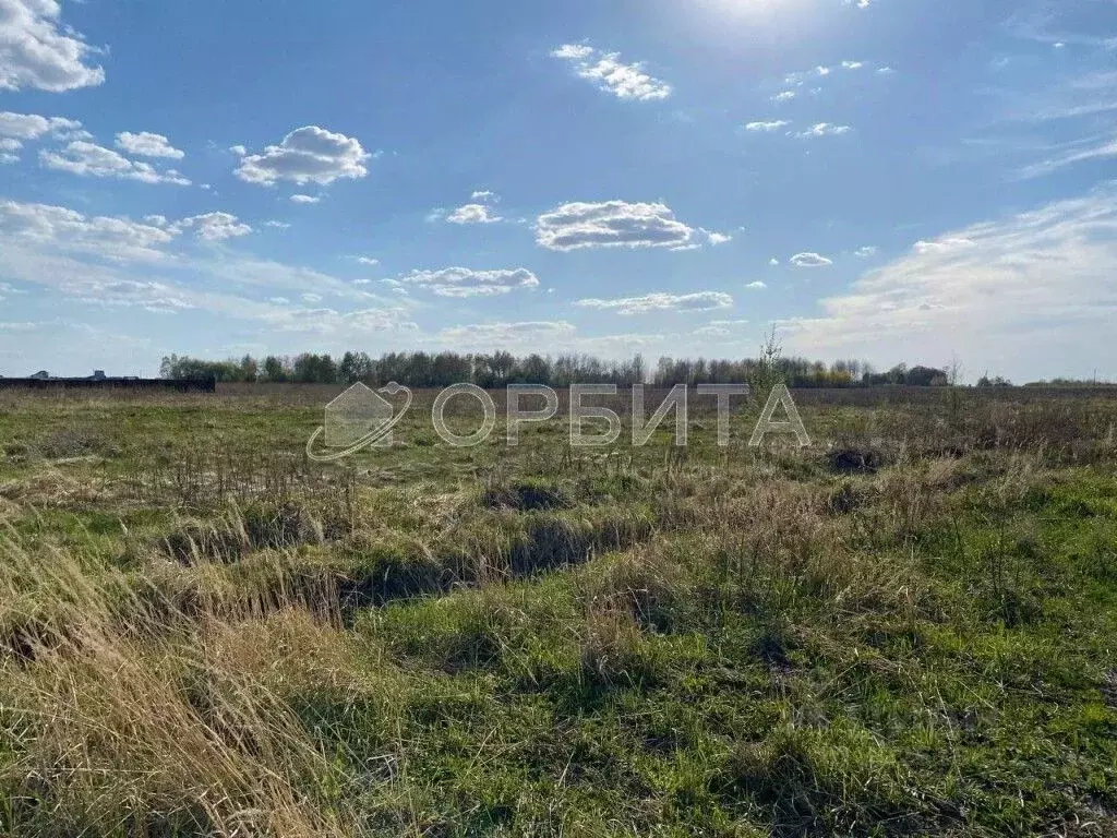 Участок в Тюменская область, Тюменский район, с. Борки  (15.0 сот.) - Фото 0