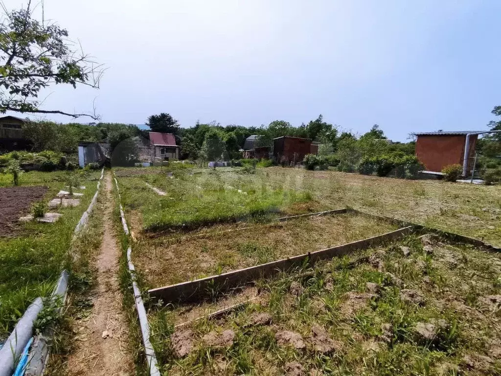Участок 6 сот. (СНТ, ДНП) - Фото 0