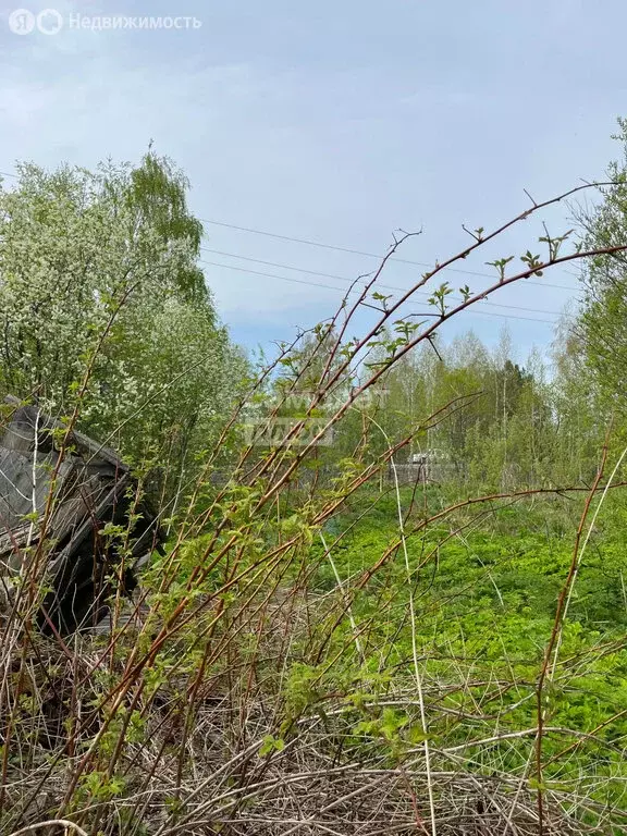 Участок в Томский район, село Межениновка (10 м) - Фото 0
