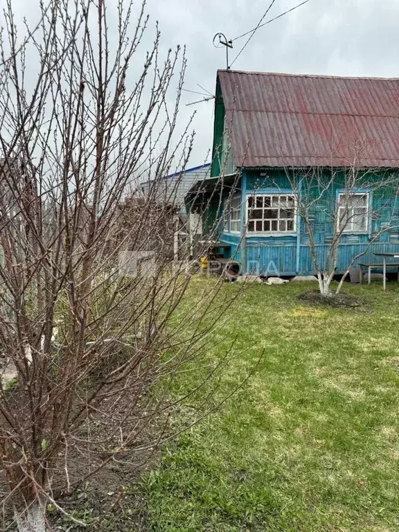 Дом в Новосибирская область, Новосибирск Маяк СНТ, ул. Болотная, 329 ... - Фото 1