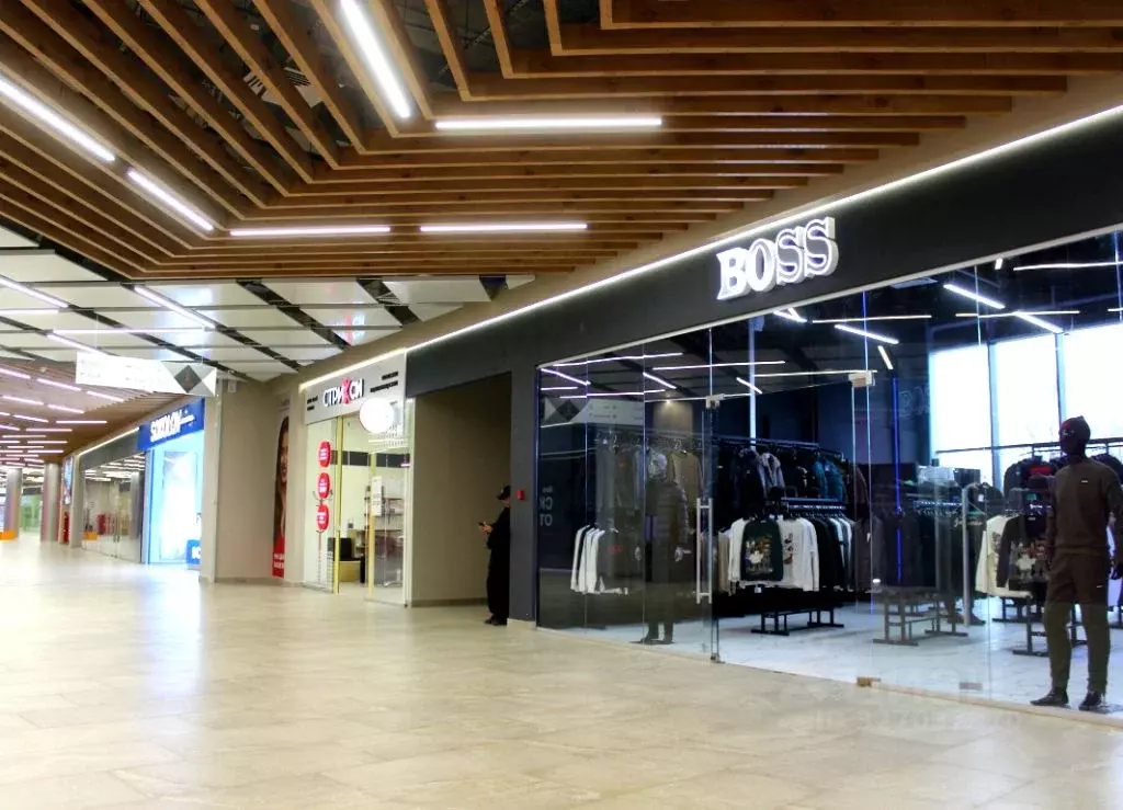 Помещение свободного назначения в Пензенская область, Пензенский ... - Фото 2