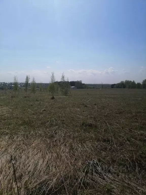 Участок в Нижегородская область, Нижний Новгород Дубровка СНТ, 4-я ... - Фото 1
