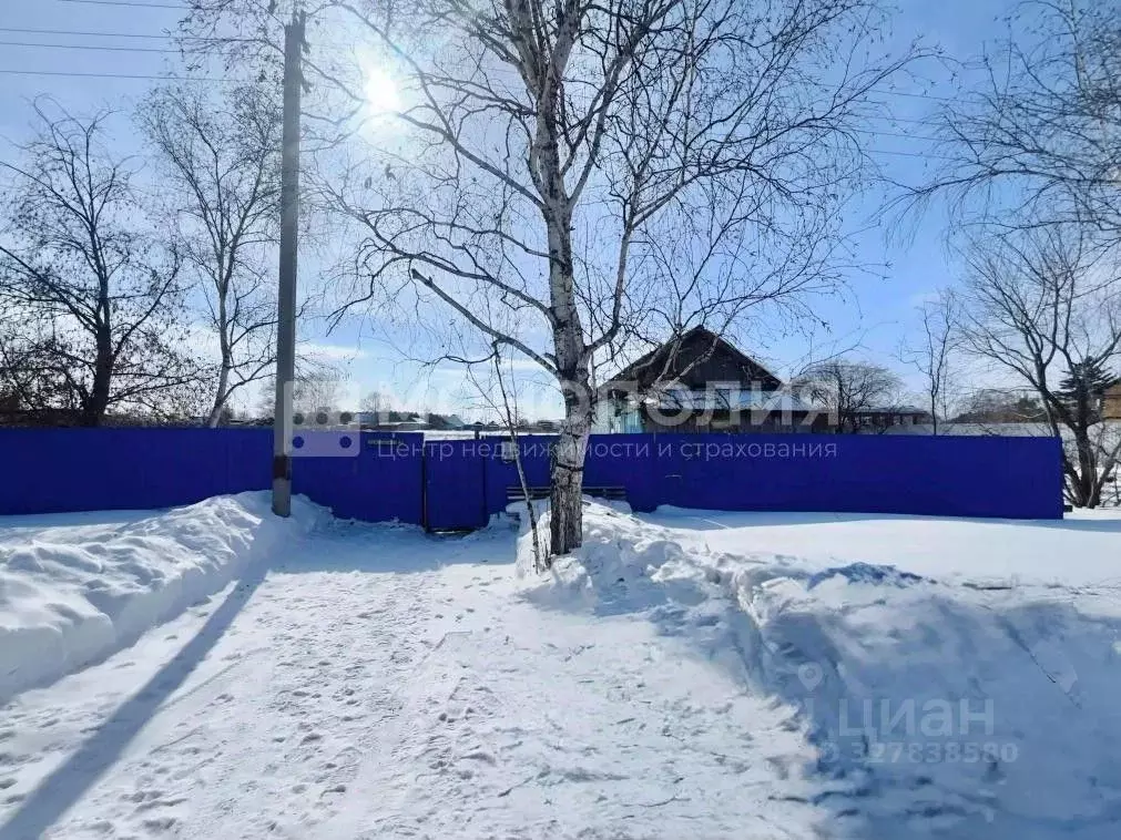 Дом в Амурская область, Серышевский муниципальный округ, с. Бочкаревка ... - Фото 1