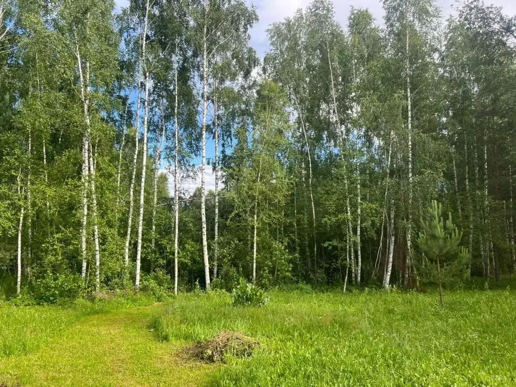 Участок в Нижегородская область, Богородский муниципальный округ, ... - Фото 0