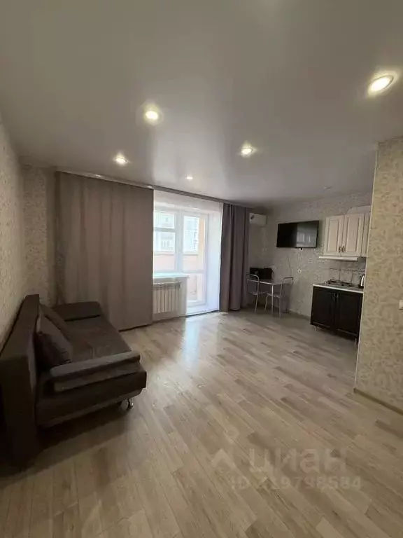 Студия Амурская область, Благовещенский район, с. Чигири ул. ... - Фото 1