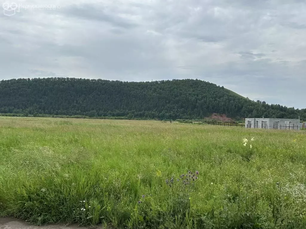 Участок в Солонцовский сельсовет, ДНТ Монамур (10 м) - Фото 0