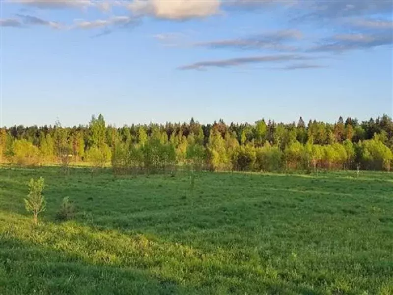 Участок в Ленинградская область, Всеволожский район, Рахьинское ... - Фото 0