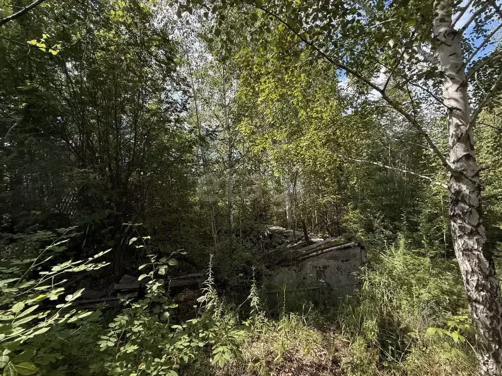 Участок в Свердловская область, Горноуральский муниципальный округ, ... - Фото 1