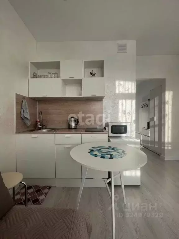 Студия Тюменская область, Тюменский муниципальный округ, д. Дударева ... - Фото 1