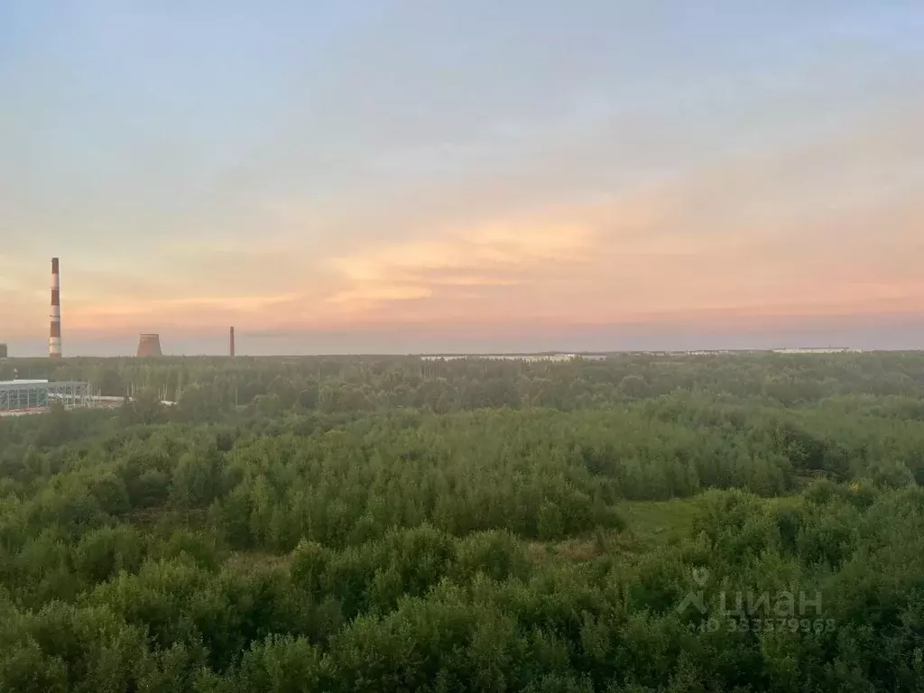 Студия Ленинградская область, Мурино Всеволожский район, ул. Шоссе в ... - Фото 2