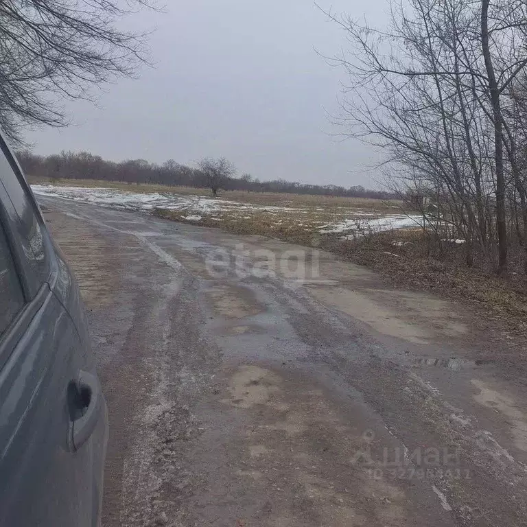 Участок в Курская область, Курский район, Брежневский сельсовет, д. ... - Фото 2