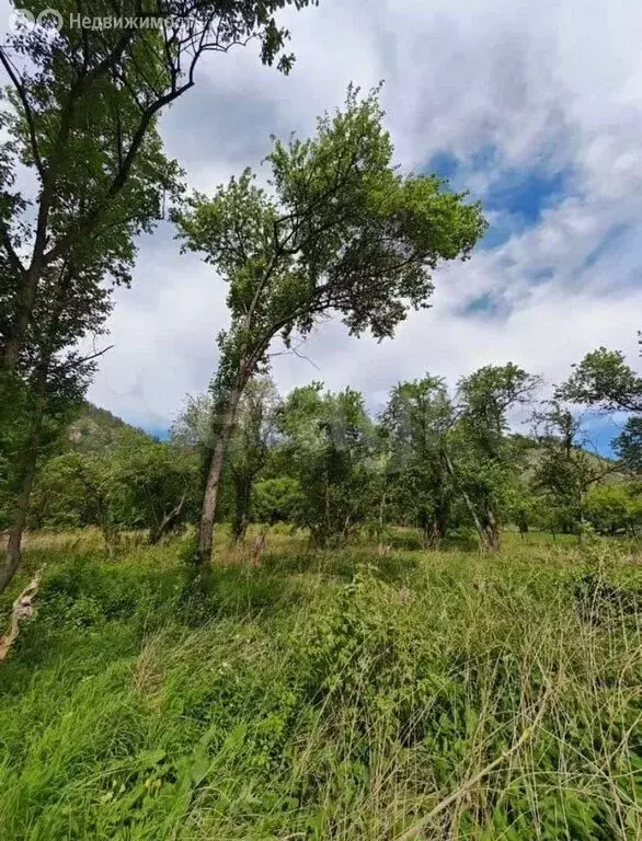 Участок в Чемальский район, СНТ Радуга Жизни (15 м) - Фото 1