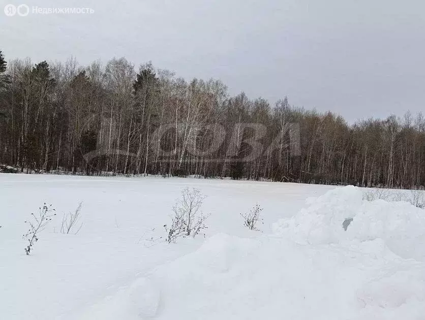 Участок в Нижнетавдинский район, Ключевское сельское поселение (10 м) - Фото 1