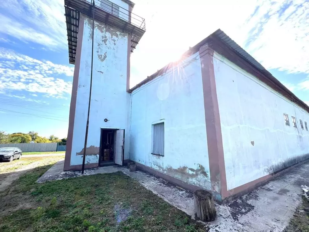 Помещение свободного назначения в Воронежская область, Острогожский ... - Фото 1