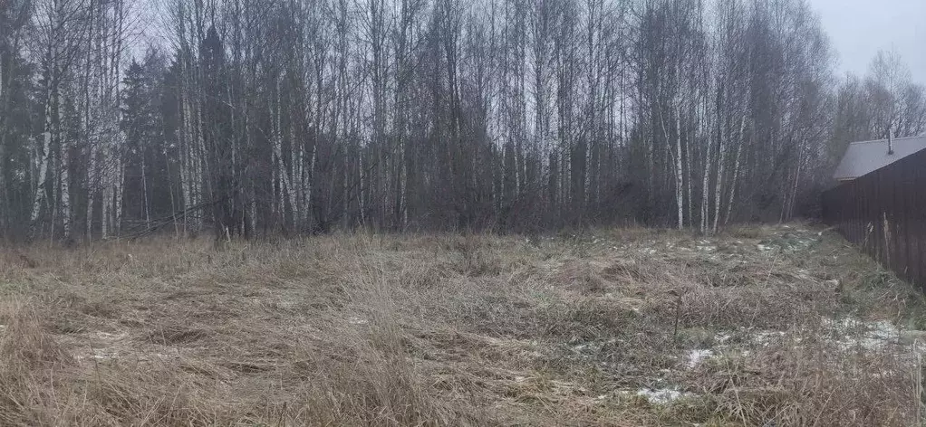 Участок в Московская область, Талдомский городской округ, д. Новая  ... - Фото 1