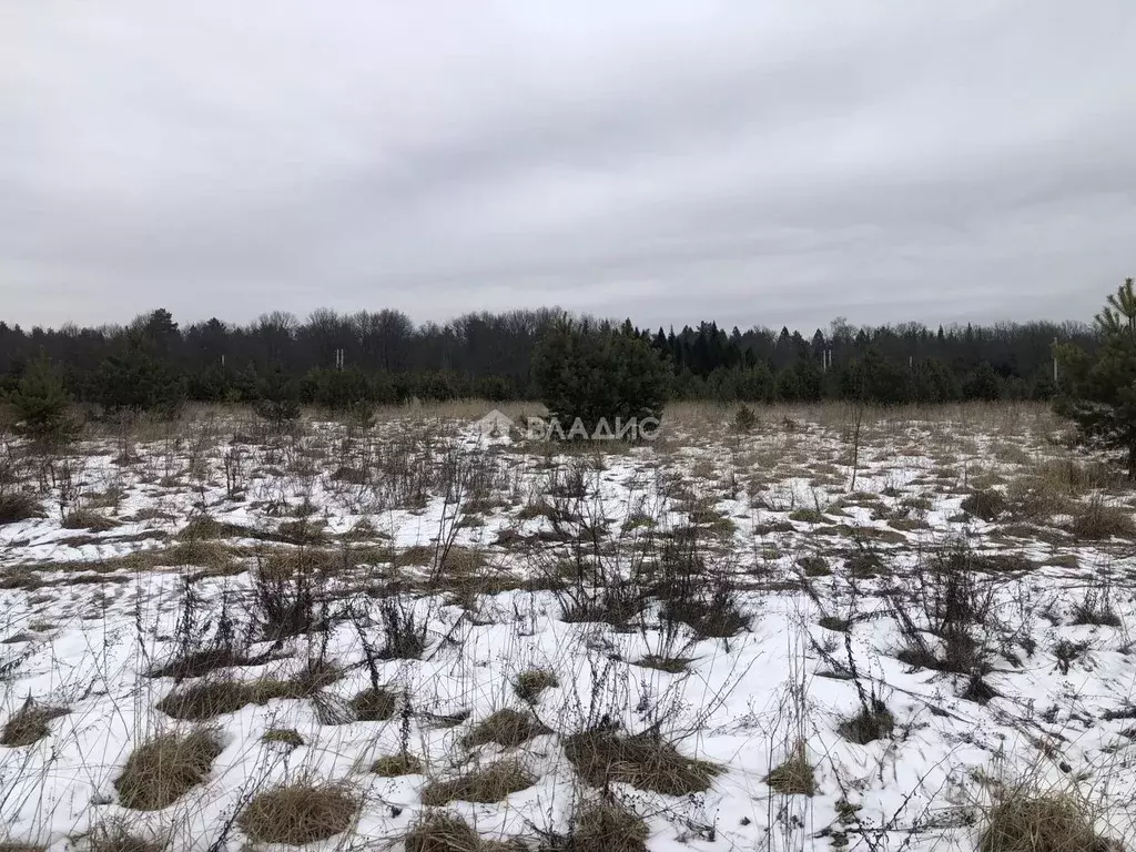 Участок в Владимирская область, Владимир д. Уварово,  (7.5 сот.) - Фото 0