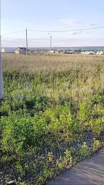 Участок 15 сот. (ИЖС) - Фото 1