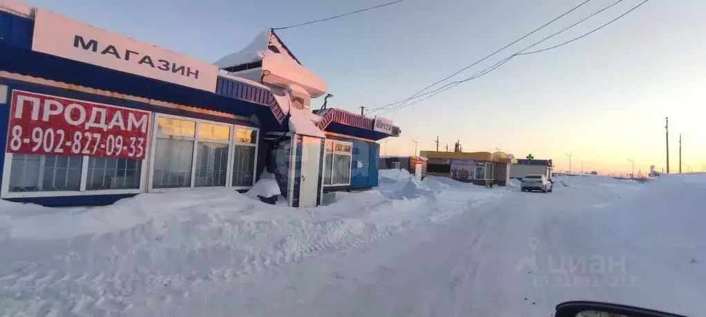 Торговая площадь в Ямало-Ненецкий АО, Новый Уренгой просп. Мира, 30 ... - Фото 1