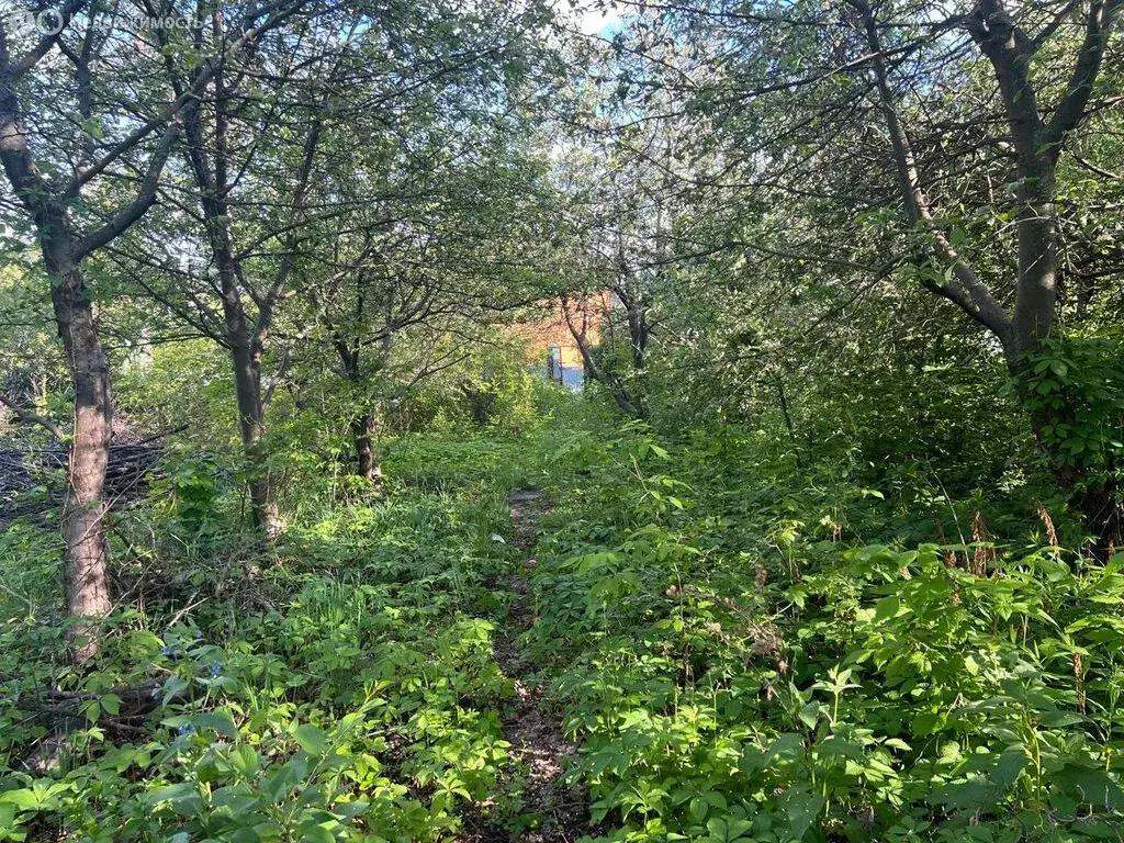 Участок в Саратов, СНТ Мичуринец-85 (9 м) - Фото 0