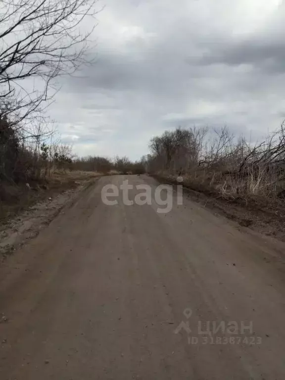 Участок в Курганская область, Щучанский муниципальный округ, д. ... - Фото 1