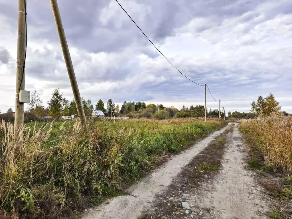 Участок в Тюменская область, Тюмень Большое Царево-2 СНТ, ул. Чистая ... - Фото 1
