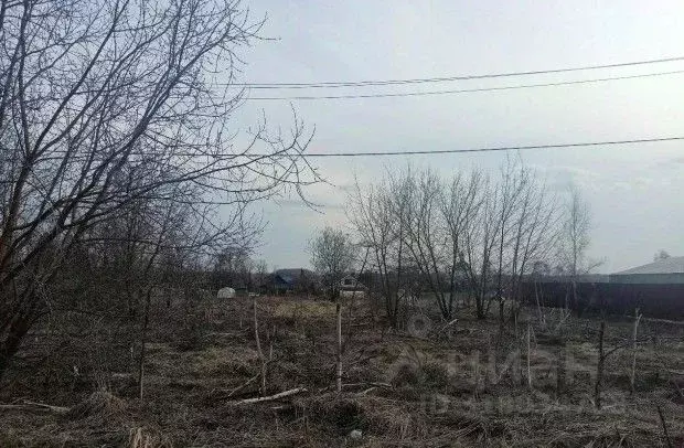 Участок в Московская область, Дмитровский муниципальный округ, д. ... - Фото 1